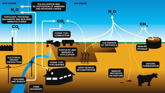 Agriculture and Carbon Emissions
